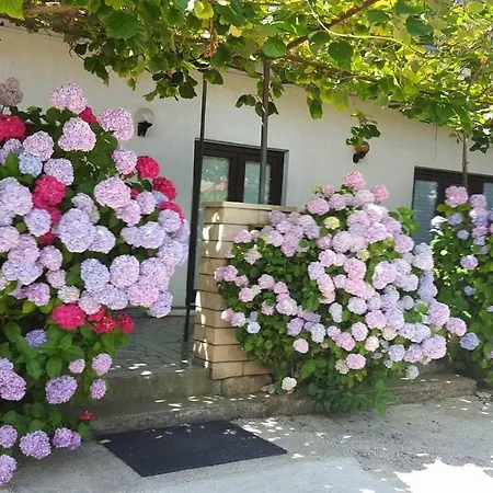 펜션 Ferienhaus Magdalena *